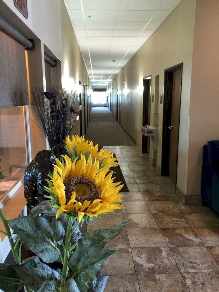 Comfort Inn & Suites Pittsburg Dış mekan fotoğraf